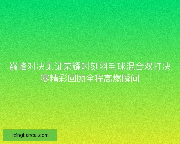 巅峰对决见证荣耀时刻羽毛球混合双打决赛精彩回顾全程高燃瞬间