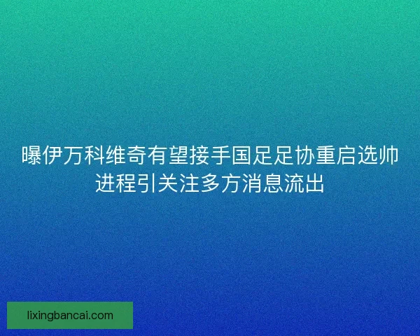 曝伊万科维奇有望接手国足足协重启选帅进程引关注多方消息流出